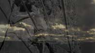 Video Art whose destiny is the top art galleries in New York City, Hong Kong, London, Paris and Rome.